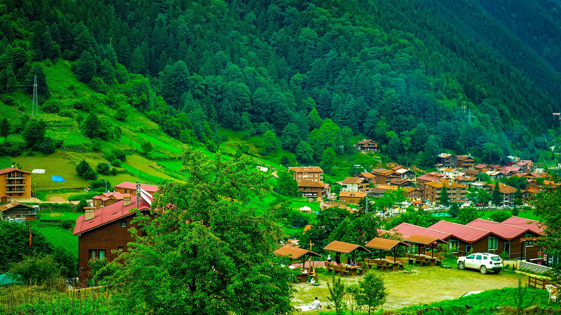 MINI Rotalar: Trabzon’da Doğanın Ritmini Yakalamak | MINI Türkiye